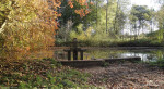 Molen van Bels